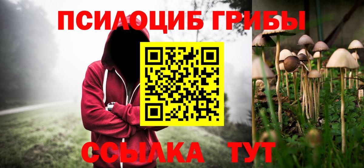 Галлюциногенные грибы Magic Shrooms  цены наркотик  Псилоцибиновые грибы Psilocybe  Алейск  Вход с VPN 